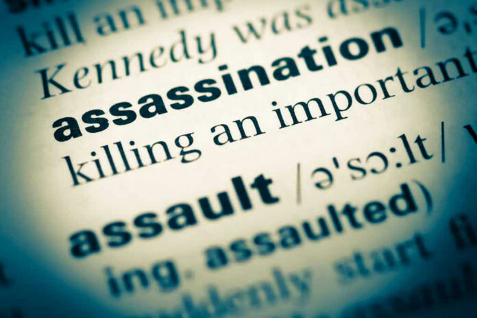 510284557 Definition of assassination in a dictionary.