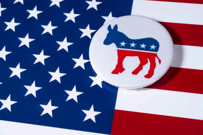 786450022 USA flag and donkey button logo.