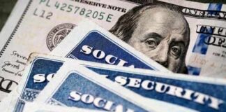 Social security cards and a hundred dollar bill arranged together