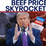 Trump admin grilled over beef prices as costs skyrocket