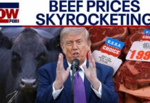 Trump admin grilled over beef prices as costs skyrocket