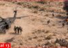 US pilots rescued deep inside Iran after being shot down - Declassified videos