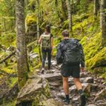 Hikers on a rocky forest trail with backpacks
