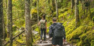 Hikers on a rocky forest trail with backpacks