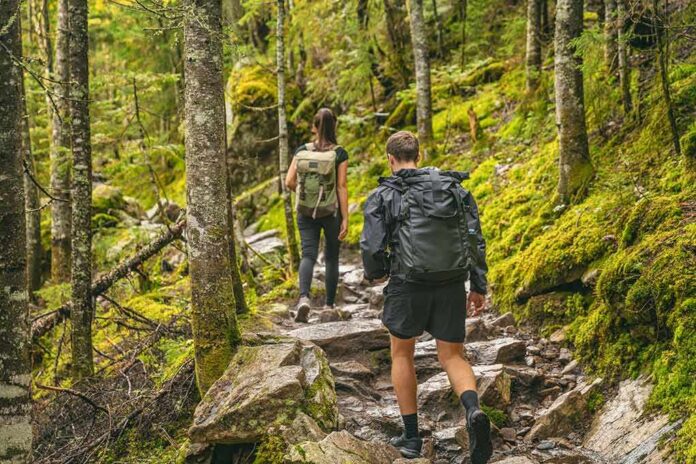 Hikers on a rocky forest trail with backpacks