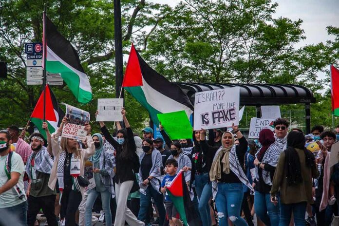 Wang Ying among protesters holding Palestinian flags and signs at a street demonstration