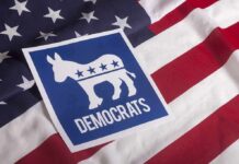 Senate Candidate Says If She Wins She Will Arrest Trump and Jail Her Opponent Democratic Party donkey symbol on American flag