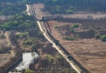 Border fence and patrol road cutting through dry landscape with sparse trees